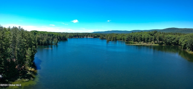 property view of water featuring a mountain view