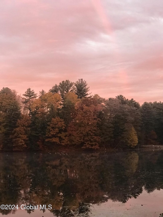 view of nature at dusk