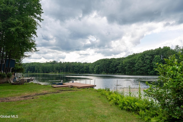 2 Birch Ct, Corinth, NY 12822 - photo 4