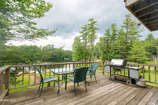 2 Birch Ct, Corinth, NY 12822 - photo 12