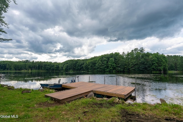 2 Birch Ct, Corinth, NY 12822 - photo 5