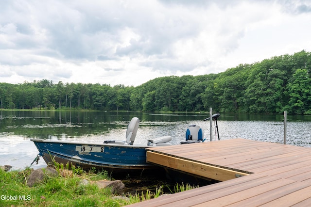 2 Birch Ct, Corinth, NY 12822 - photo 6