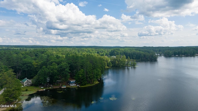 2 Birch Ct, Corinth, NY 12822 - photo 3