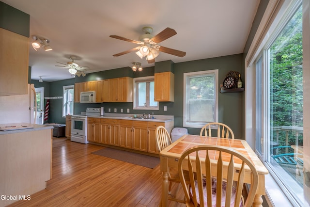 2 Birch Ct, Corinth, NY 12822 - photo 20