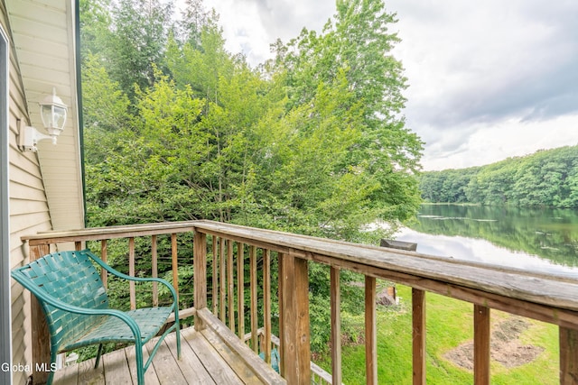 2 Birch Ct, Corinth, NY 12822 - photo 41