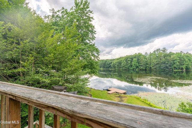 2 Birch Ct, Corinth, NY 12822 - photo 42