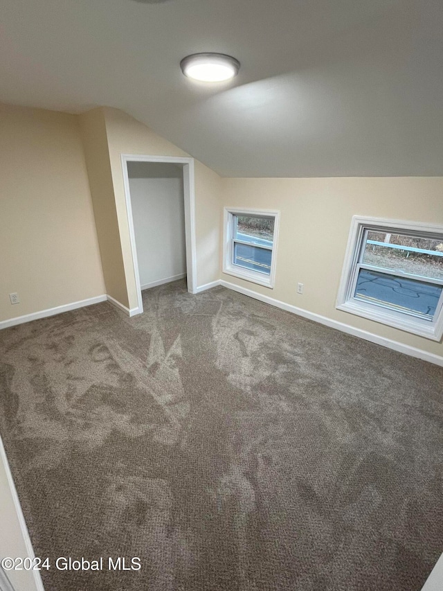 bonus room featuring carpet and vaulted ceiling