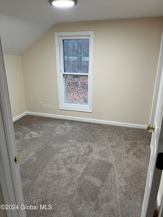 additional living space with carpet flooring and vaulted ceiling