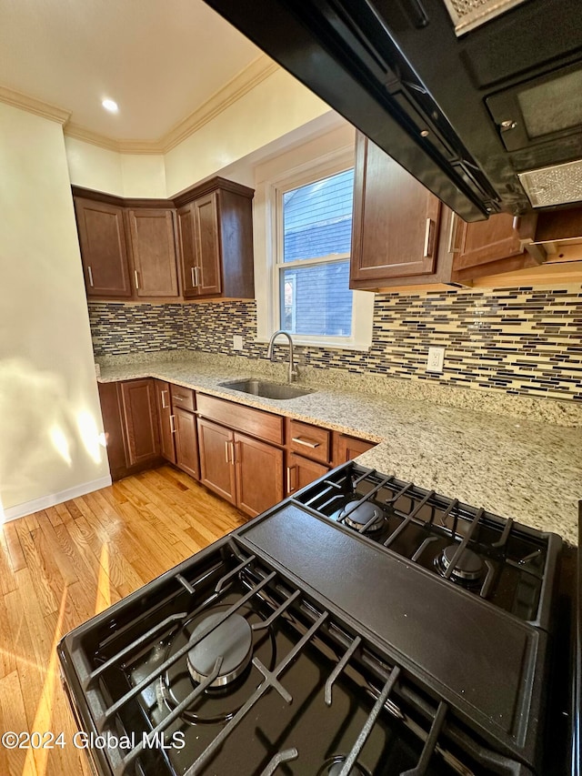 kitchen featuring tasteful backsplash, light hardwood / wood-style flooring, crown molding, and sink