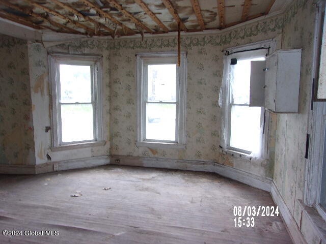 spare room featuring plenty of natural light