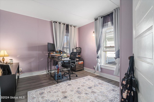 office space with dark hardwood / wood-style flooring