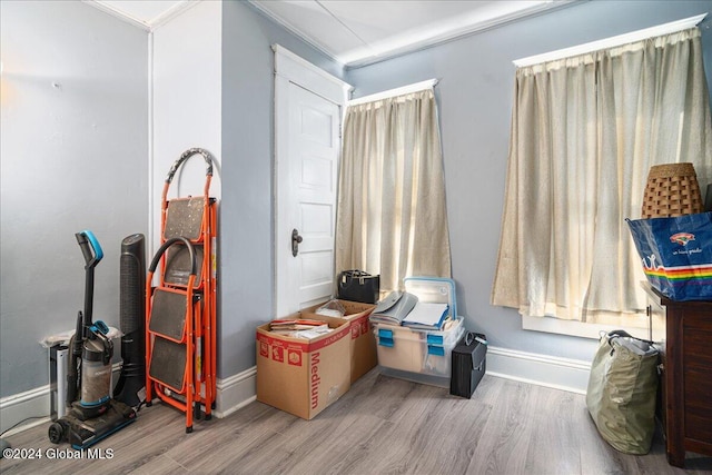 interior space featuring light hardwood / wood-style floors and crown molding