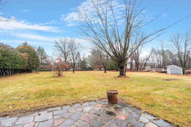 view of yard with a patio