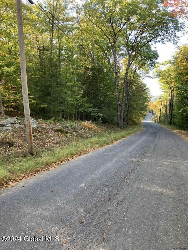 0 Hall Hill Rd, Lake Luzerne NY, 12846 land for sale