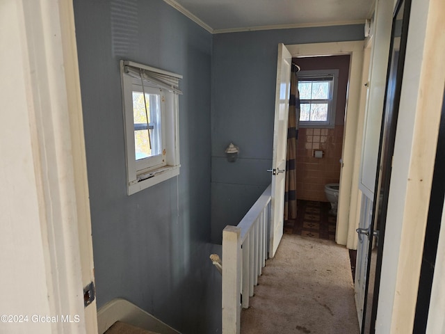 bathroom with crown molding and toilet