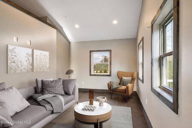 living room featuring dark hardwood / wood-style flooring and vaulted ceiling