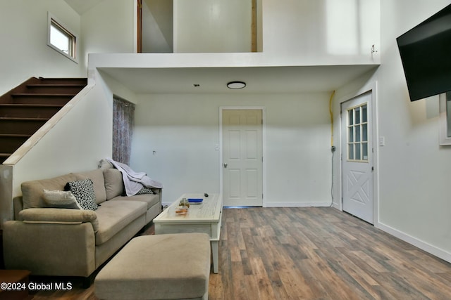 living room featuring a towering ceiling and wood-type flooring