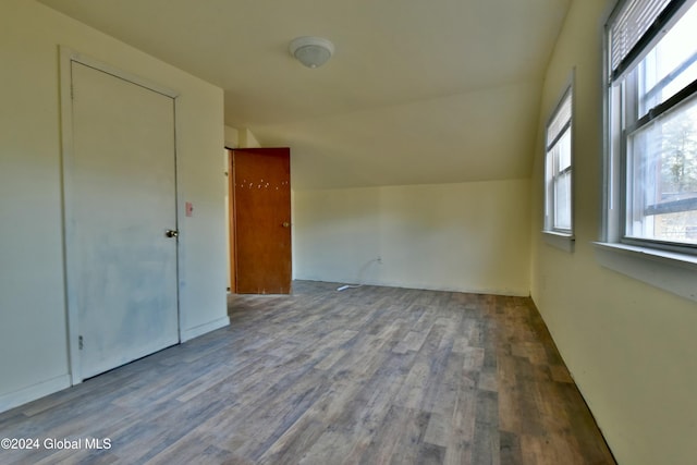 bonus room with lofted ceiling and wood-type flooring