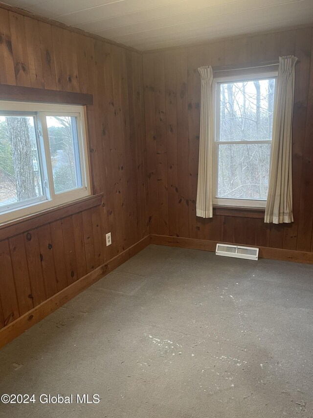 261 Fox Hill Rd, Edinburg, NY 12134 - carpeted spare room with healthy amount of natural light, wooden walls, and baseboards