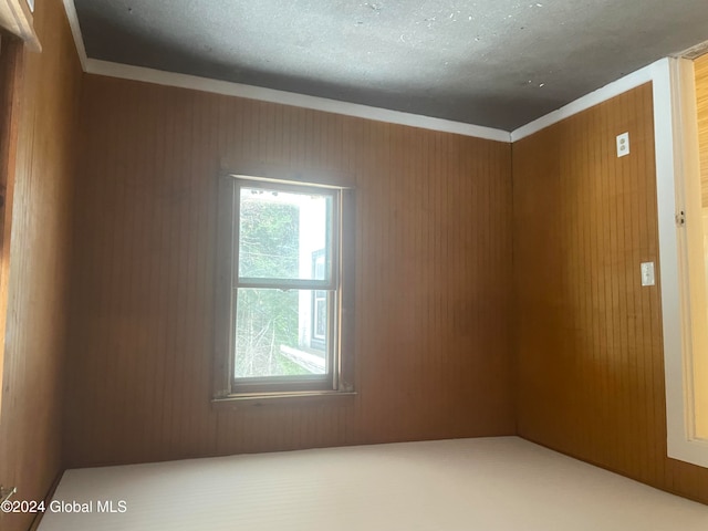 unfurnished room with wooden walls