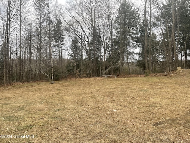 261 Fox Hill Rd, Edinburg, NY 12134 - view of tree filled area