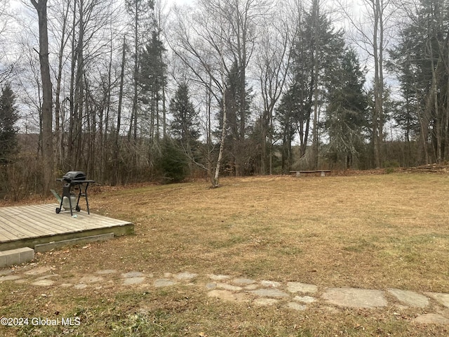 view of yard featuring a deck