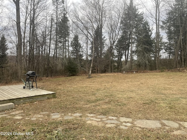 261 Fox Hill Rd, Edinburg, NY 12134 - view of yard with a wooden deck