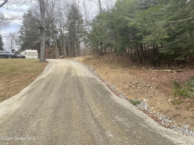 261 Fox Hill Rd, Edinburg, NY 12134 - view of road