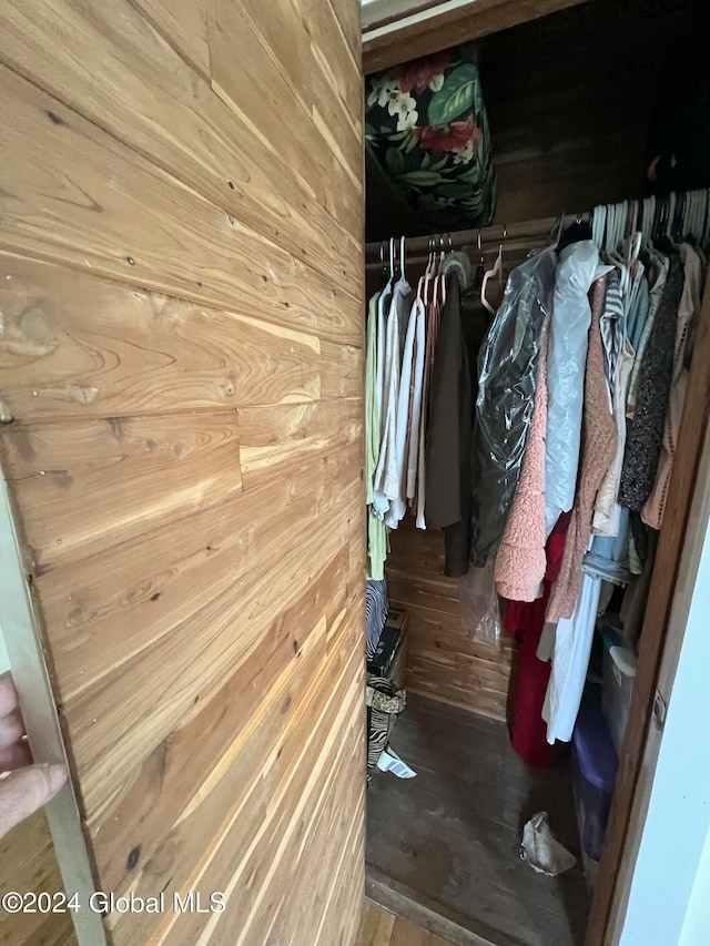 view of closet