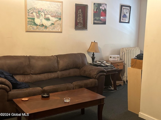 living room with carpet floors and radiator