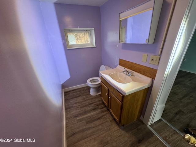 bathroom featuring vanity, toilet, and wood-type flooring