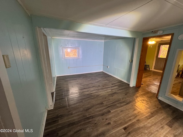 empty room with wood walls, dark hardwood / wood-style flooring, and plenty of natural light