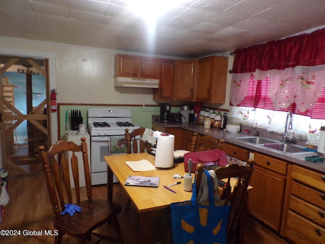 kitchen with dark hardwood / wood-style floors, sink, and white gas range oven