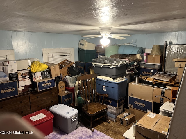 storage area featuring ceiling fan