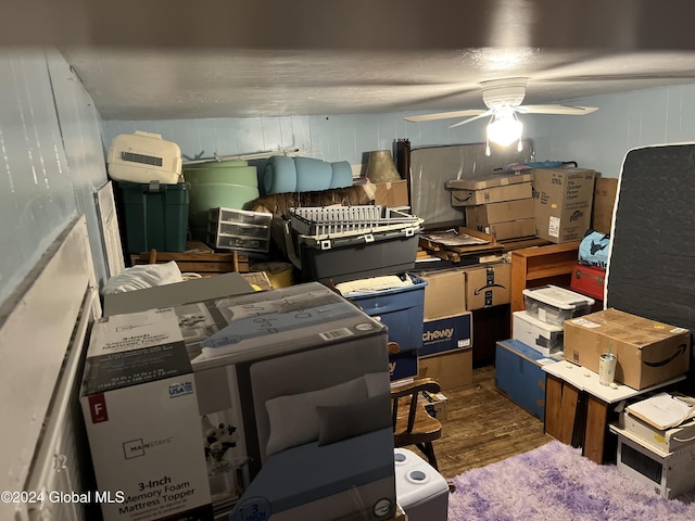 storage room with ceiling fan