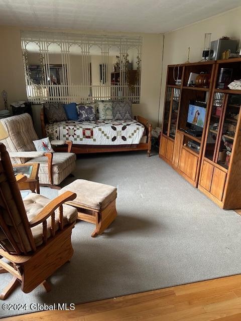 living area featuring wood finished floors