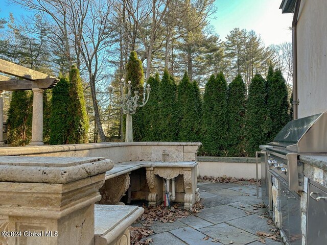 view of patio / terrace featuring area for grilling and an outdoor kitchen