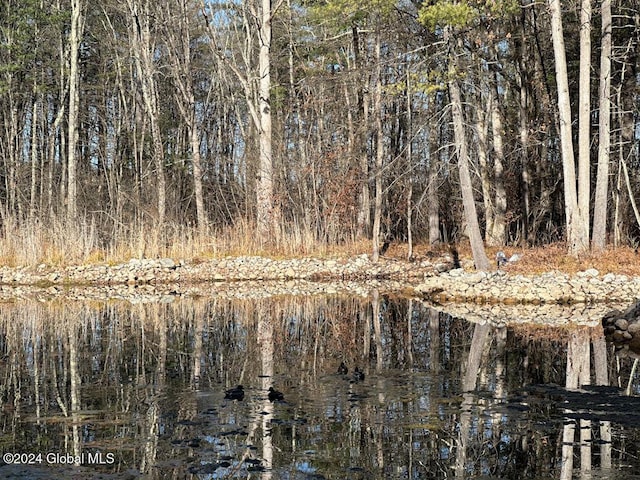 view of local wilderness