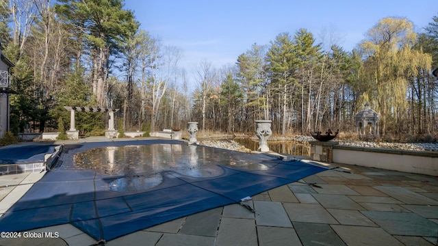 view of pool featuring a patio