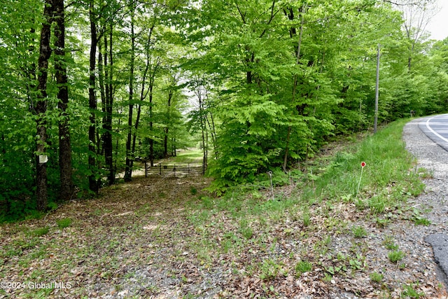 430 Lake Desolation Rd, Greenfield NY, 12850 land for sale