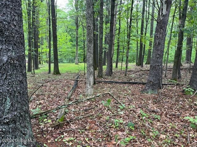 L2.2 Canniff Rd, Cairo, NY 12413