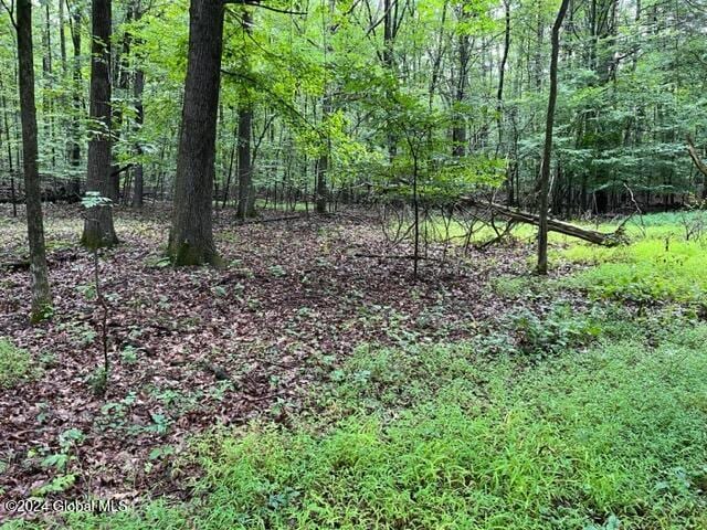 L2.2 Canniff Rd, Cairo, NY 12413