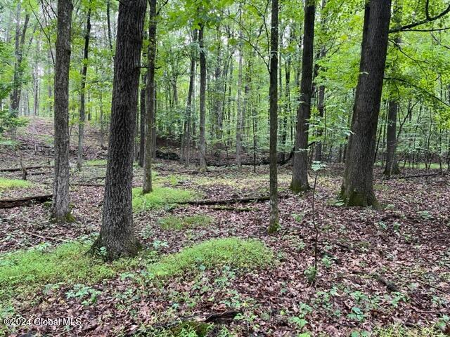 L2.2 Canniff Rd, Cairo, NY 12413