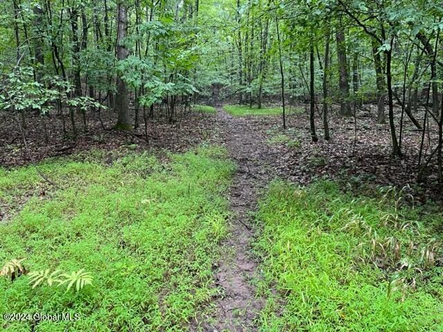 L2.2 Canniff Rd, Cairo, NY 12413