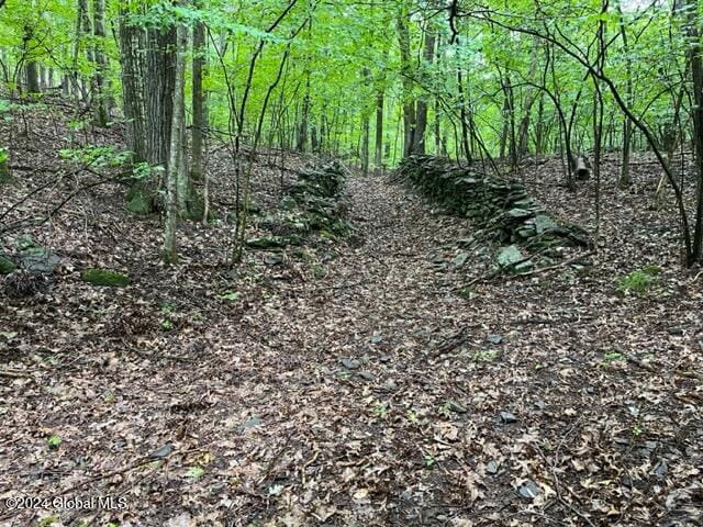 L2.2 Canniff Rd, Cairo, NY 12413