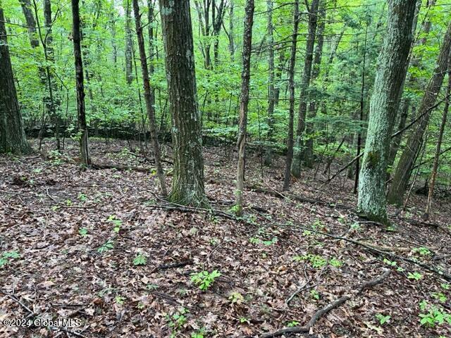 L2.2 Canniff Rd, Cairo, NY 12413