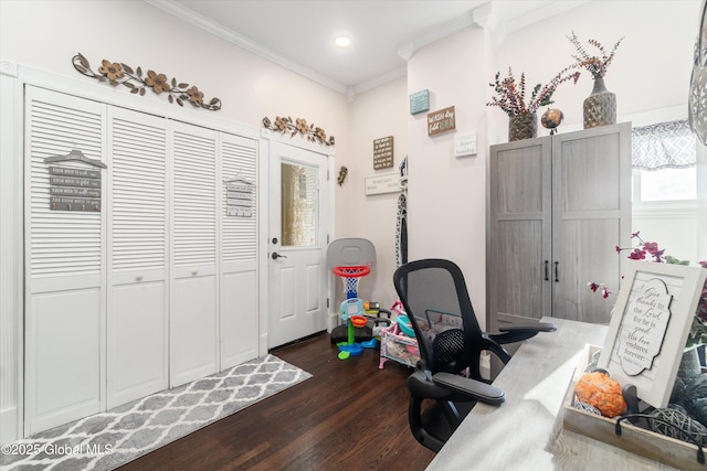 office space featuring ornamental molding and dark wood-type flooring