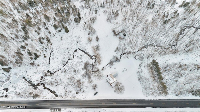 view of snowy aerial view