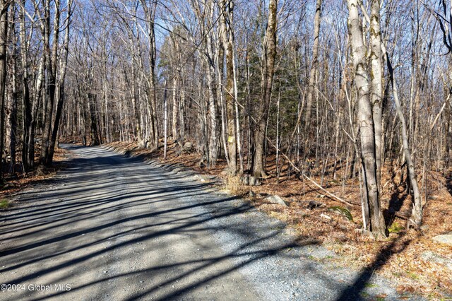 LOT2 Fire Tower Rd, Grafton NY, 12138 land for sale