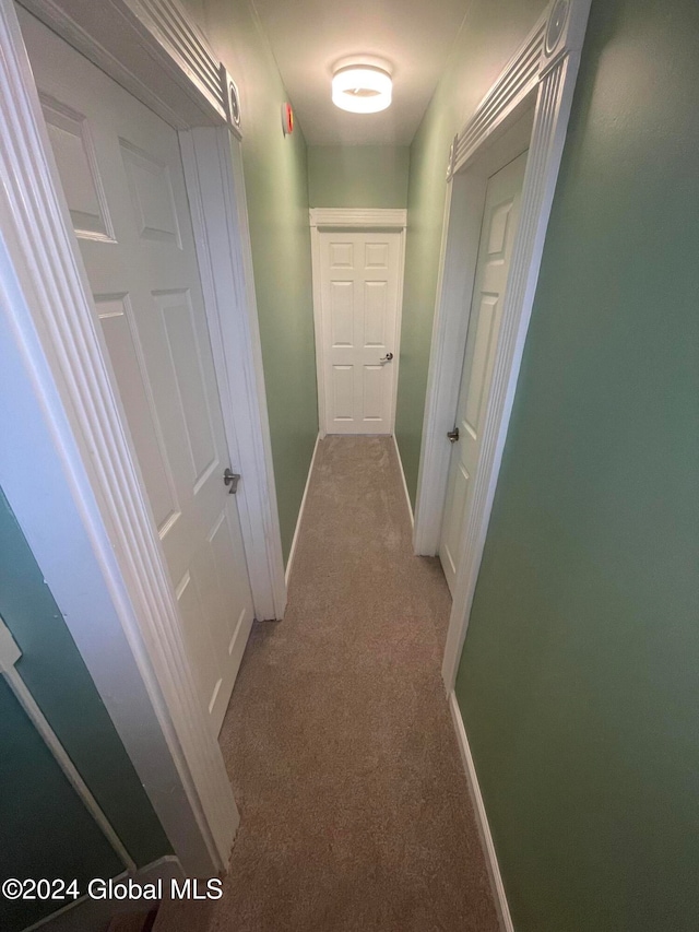 hall featuring carpet floors